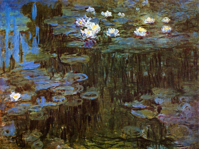 Water Lilies