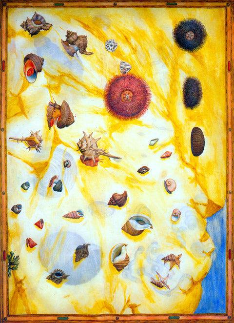 Sea Urbince and Snails