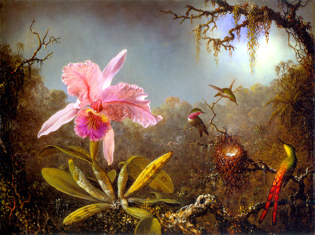 Cattleya Orchid and Three Brazilian Hummingbirds