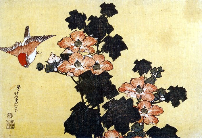 Hibiscus and Sparrow