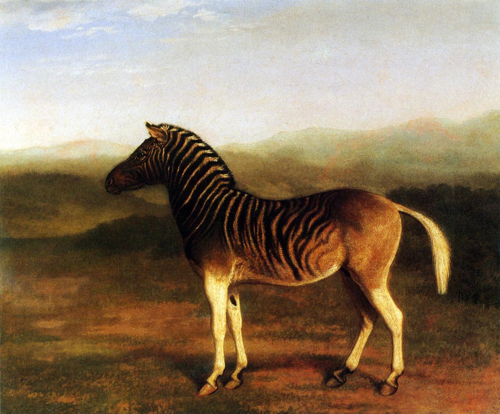 Quagga