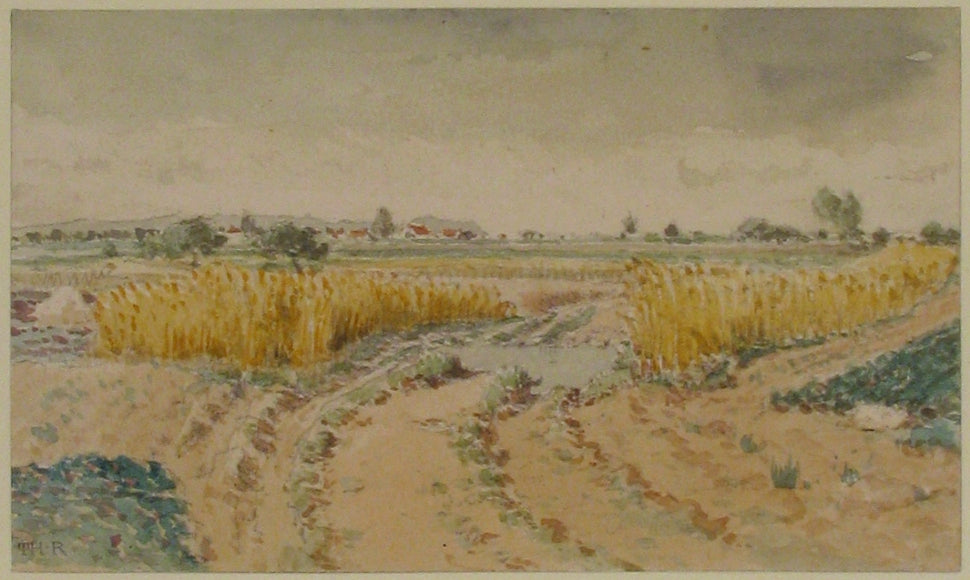 Wheatfields
