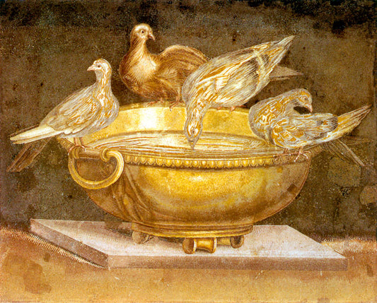 Doves Perched on the Edge of a Basin
