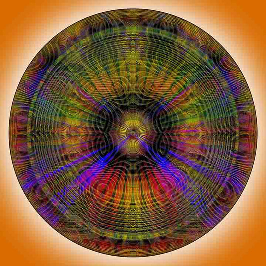 #102020154, Orange Shell
