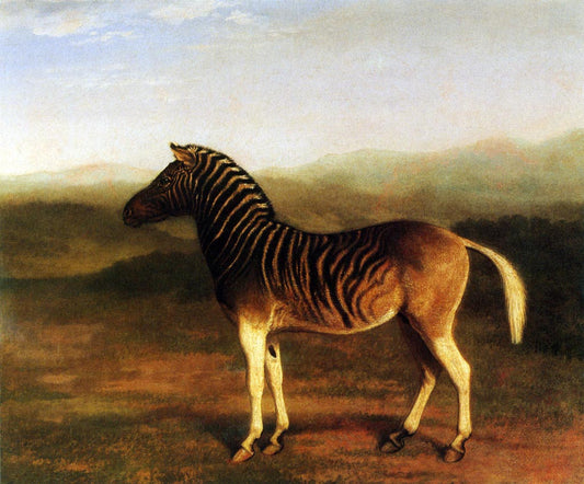 Quagga