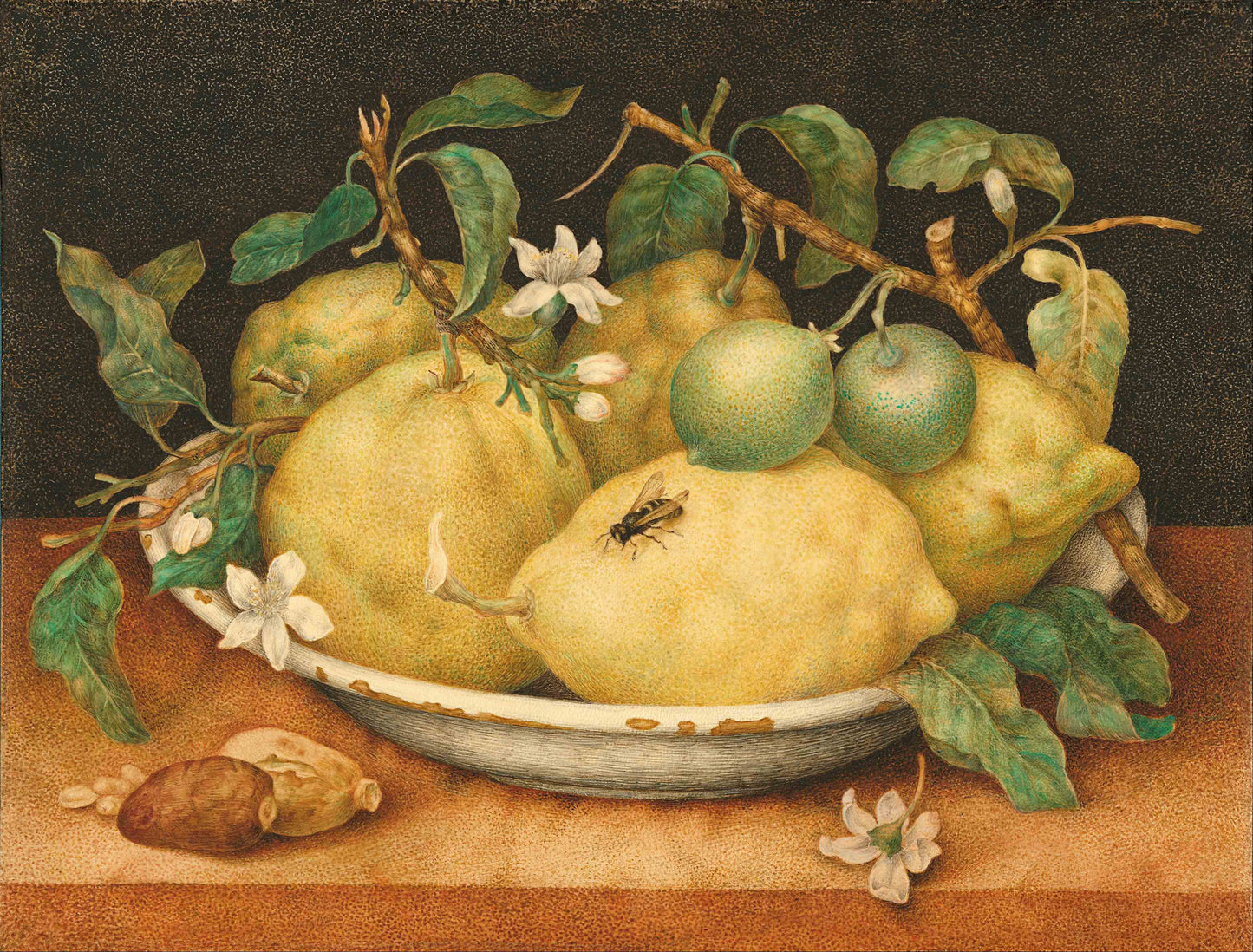 Still Life with Bowl of Citrons