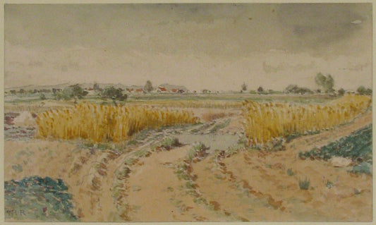 Wheatfields