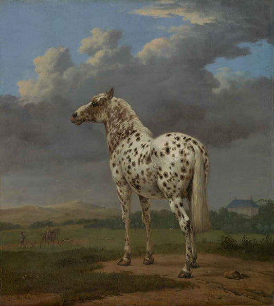 The Piebald Horse